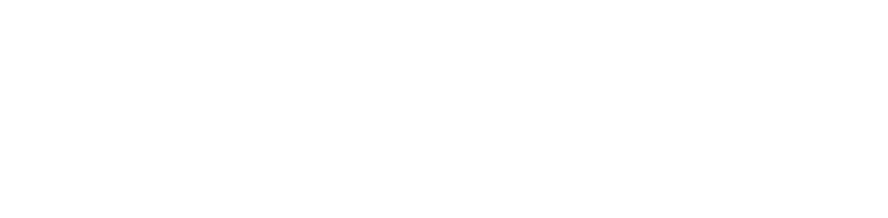 DQS Logo - Horizontal - Black